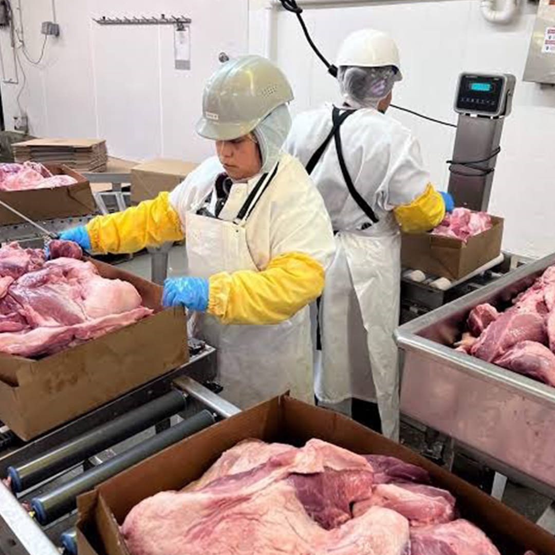 cold chain management
